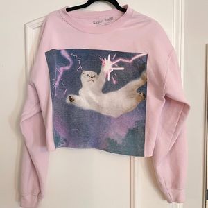 Taylor Swift Pink Cat Olivia Cropped Sweatshirt Sz large